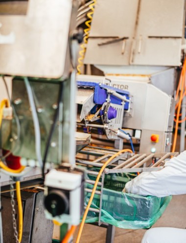 Van Loon Group Son afbeelding 5